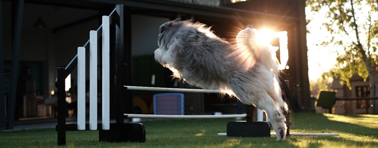 Basket work - backchaining the retrieve.